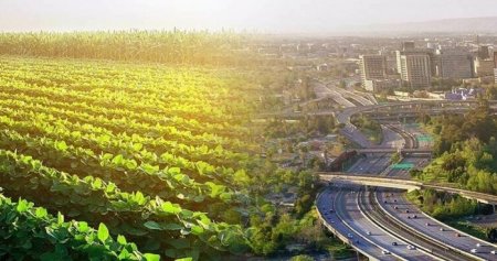 UversitySkateboards25