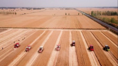 UversitySkateboards25