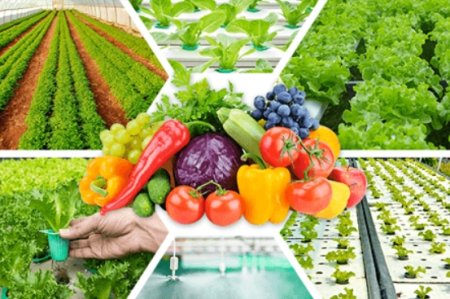 UversitySkateboards25