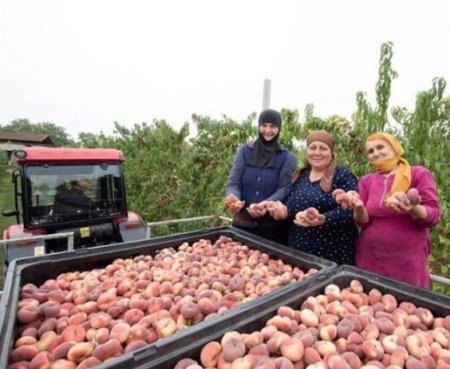 UversitySkateboards25