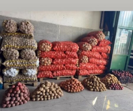 UversitySkateboards25