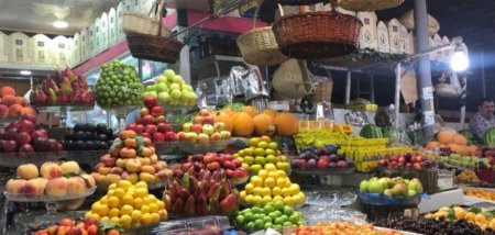 UversitySkateboards25