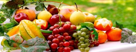 UversitySkateboards25