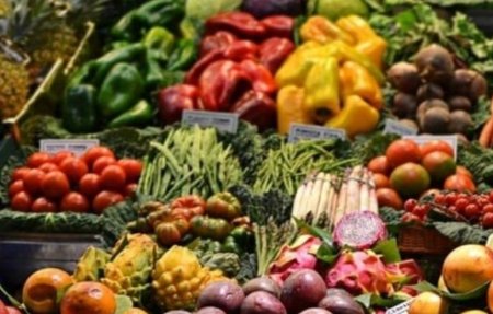 UversitySkateboards25