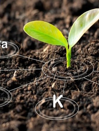 UversitySkateboards25