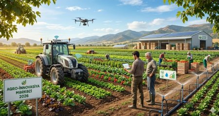 UversitySkateboards25