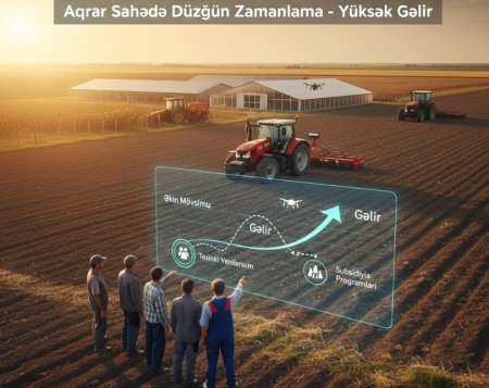 UversitySkateboards25