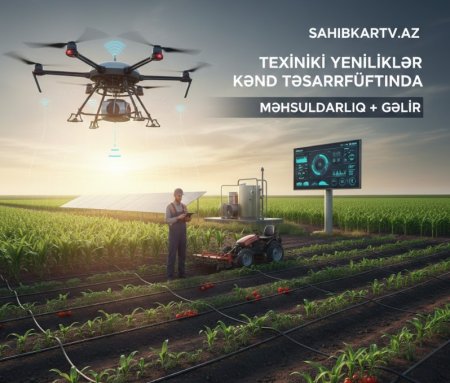 UversitySkateboards25