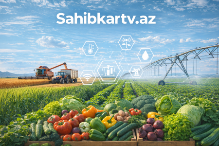 UversitySkateboards25