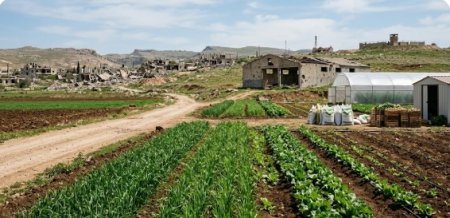 UversitySkateboards25