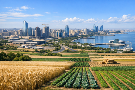 UversitySkateboards25